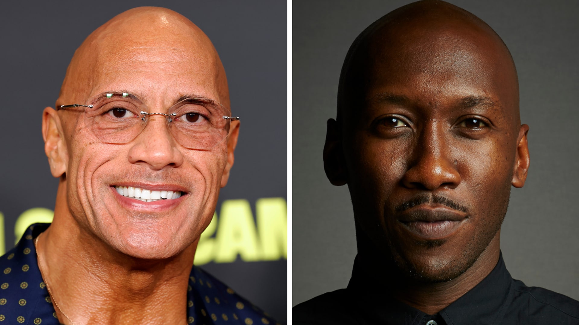 Sexiest bald men in Hollywood: From The Rock to Mahershala Ali