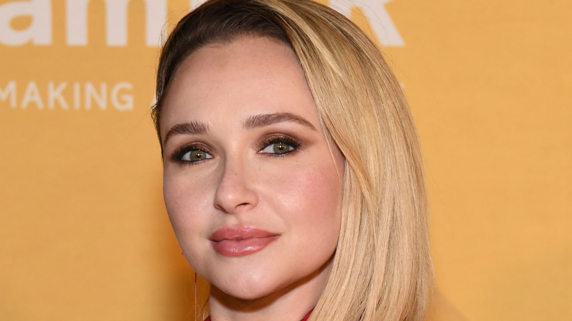 WEST HOLLYWOOD, CALIFORNIA - NOVEMBER 03: Hayden Panettiere attends 2022 amfAR Gala Los Angeles at Pacific Design Center on November 03, 2022 in West Hollywood, California. (Photo by Jon Kopaloff/Getty Images)