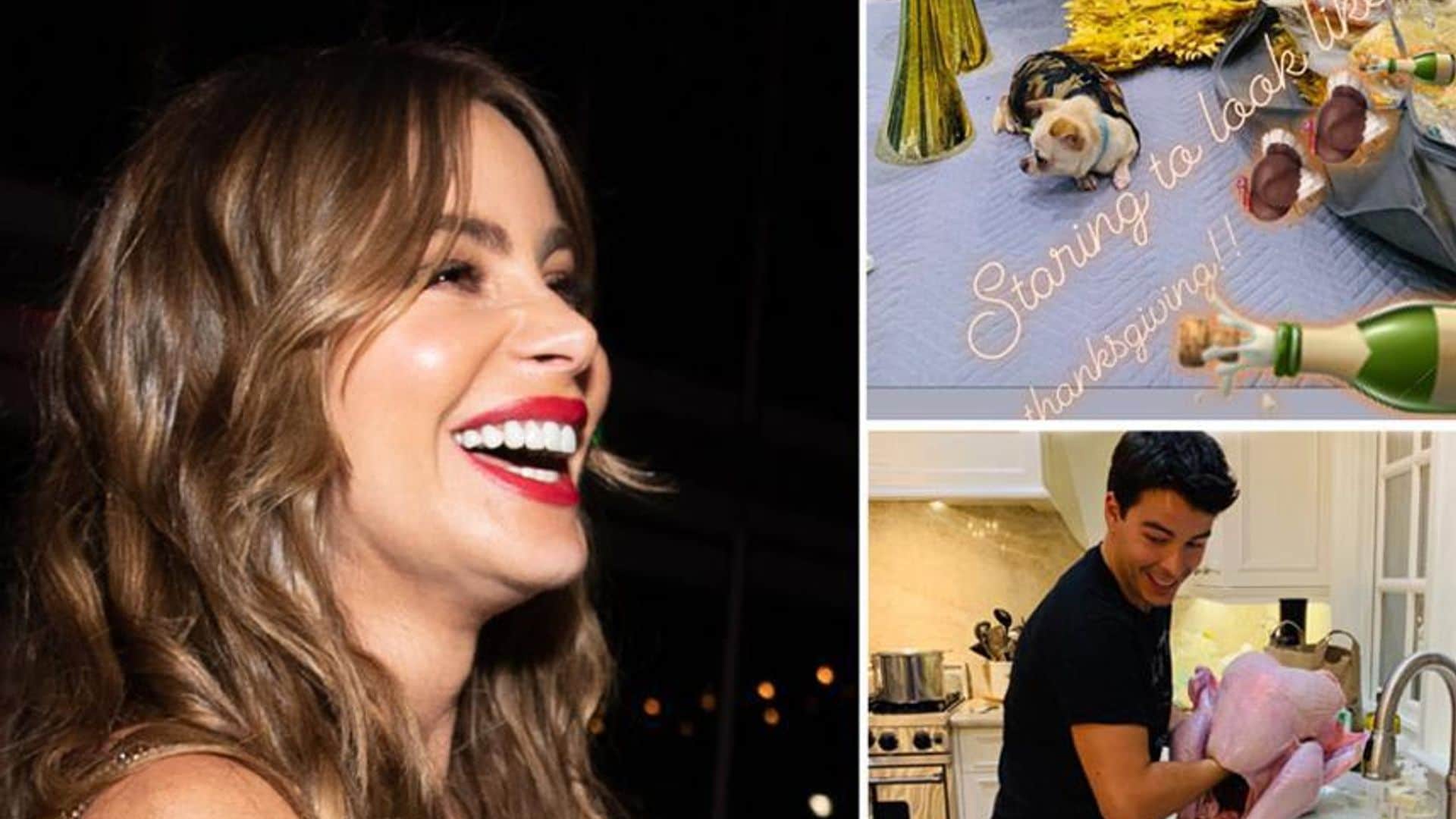 Sofia Vergara is ready to celebrate Thanksgiving – and it's not Joe stuffing the turkey!