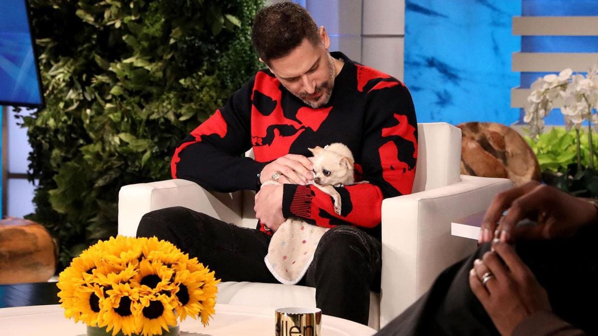 Joe Manganiello talks about his dog Bubbles, who adores him and hates his wife