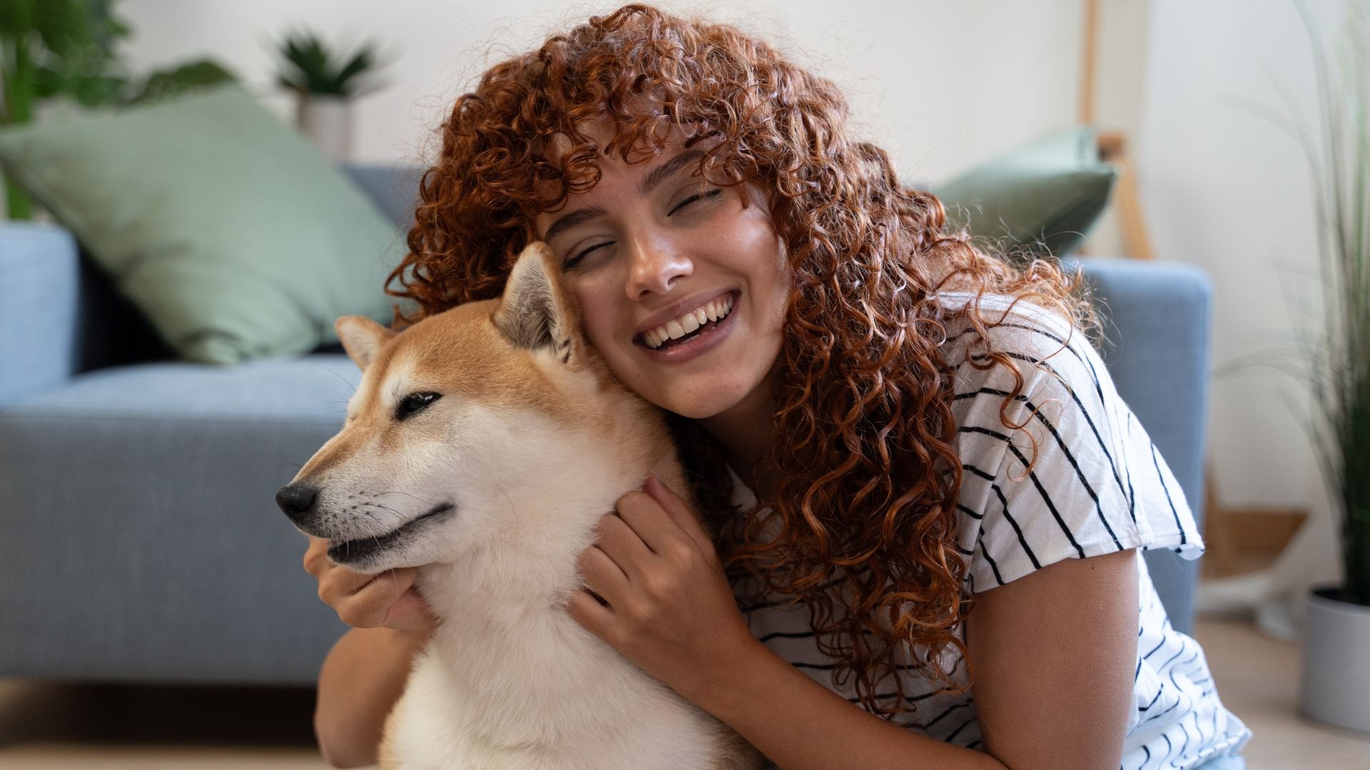 Young redhead woman cuddling her Shiba Inu dog in the living room, showing love and affection   