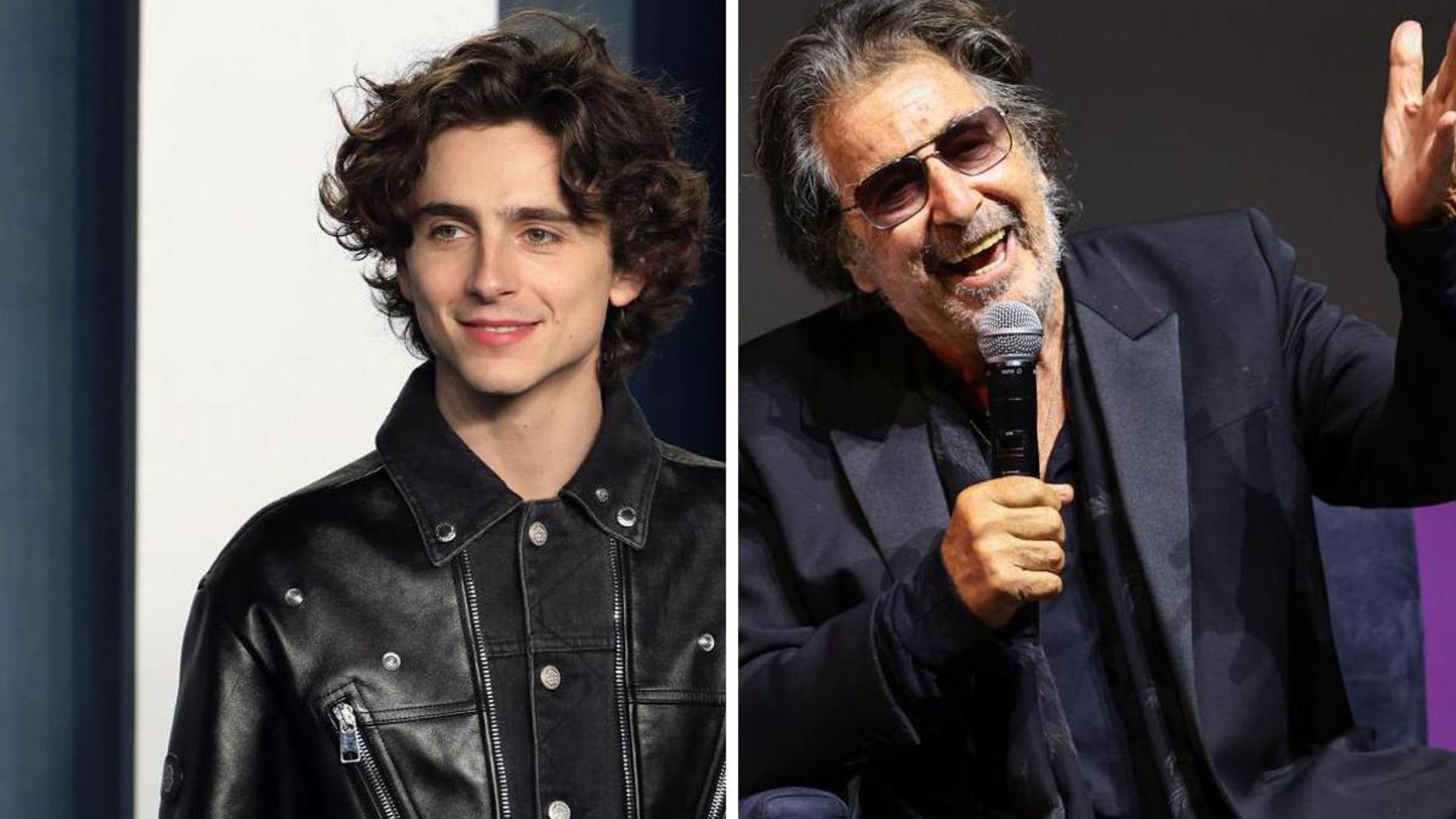 Al Pacino praises Timothée Chalamet and wants him to take over his role in ‘Heat’ sequel