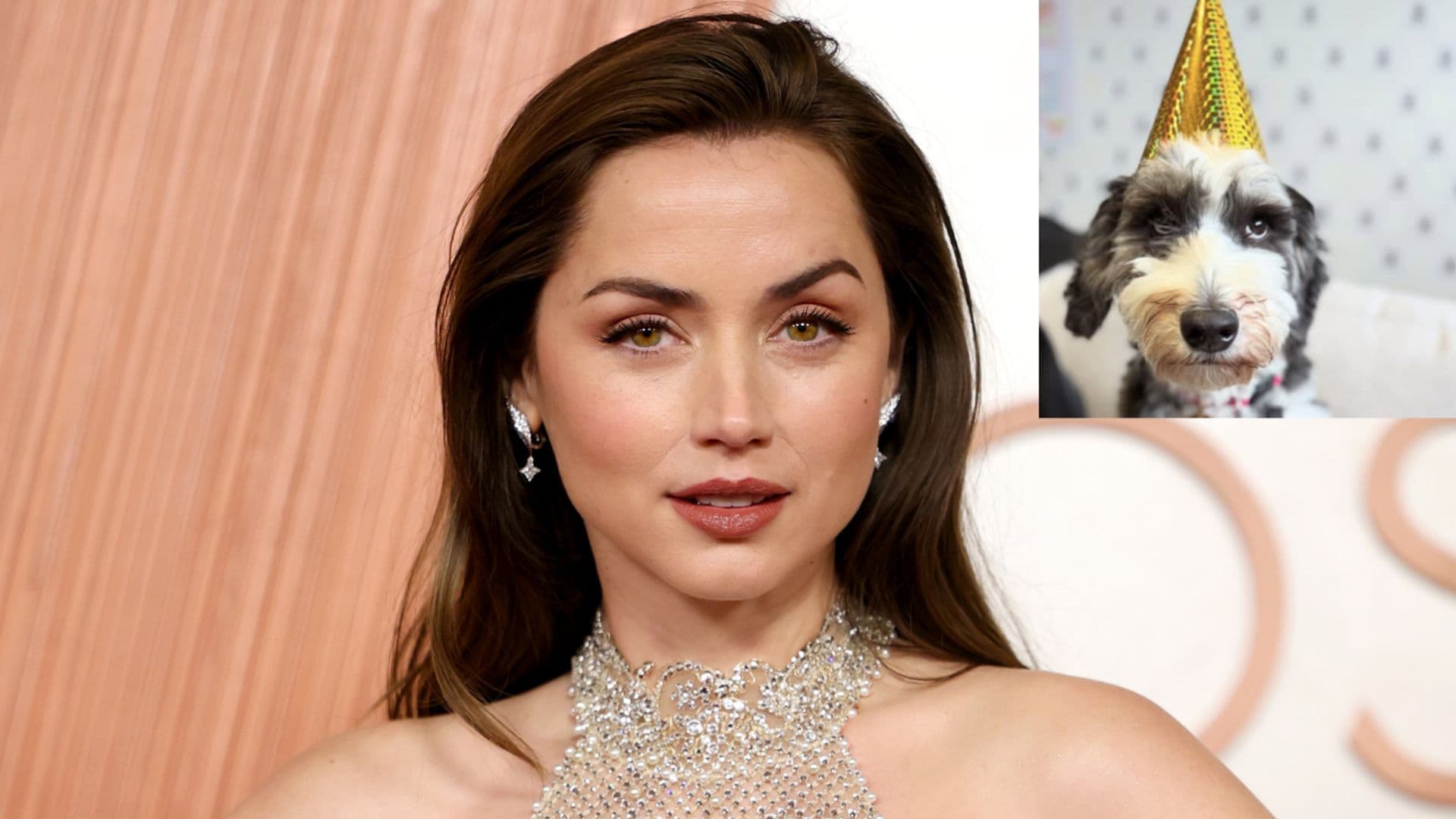 Ana de Armas celebrates her dog's birthday with adorable photos: 'Mi salsita'