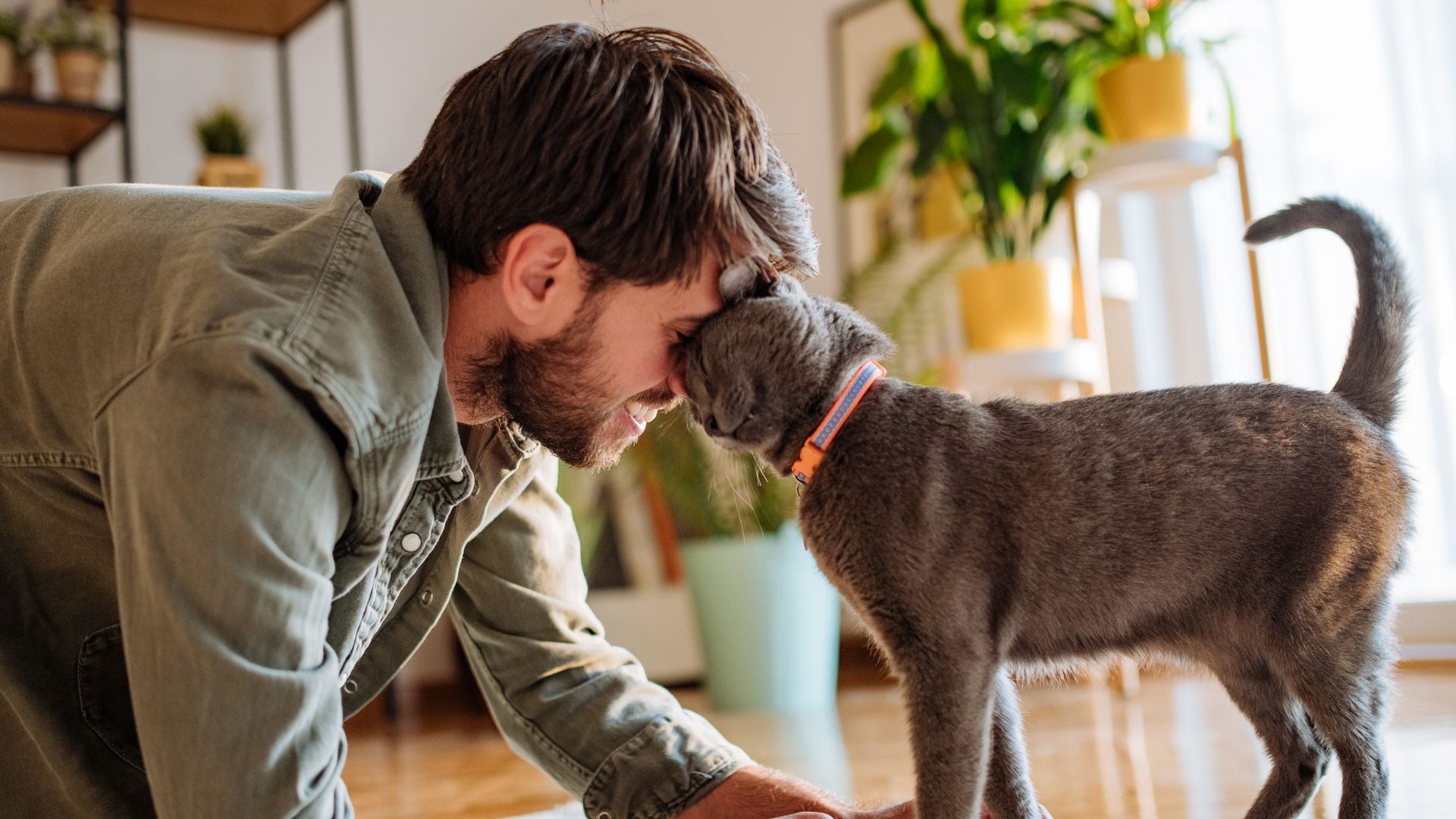 How to communicate with cats: One easy trick