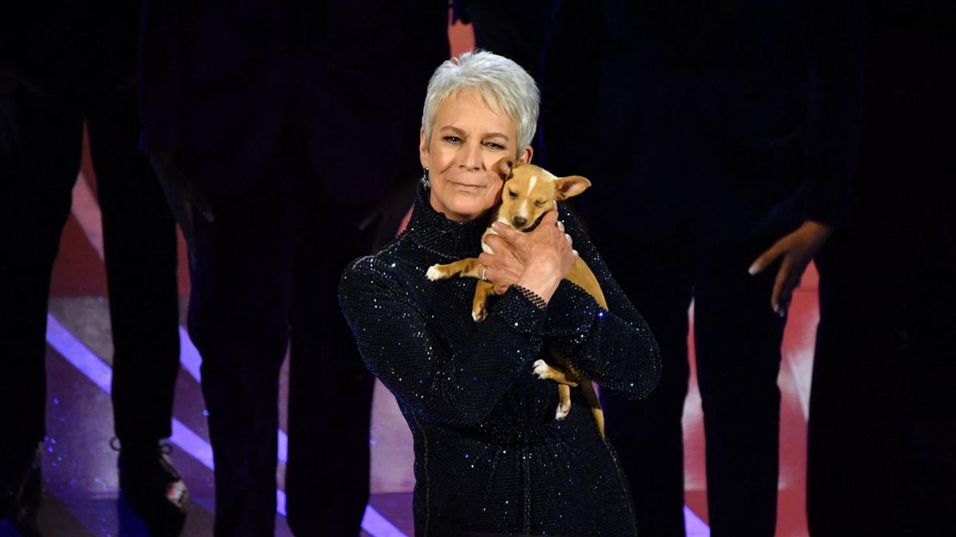 John Travolta adopted the puppy Jamie Lee Curtis presented at the Oscars