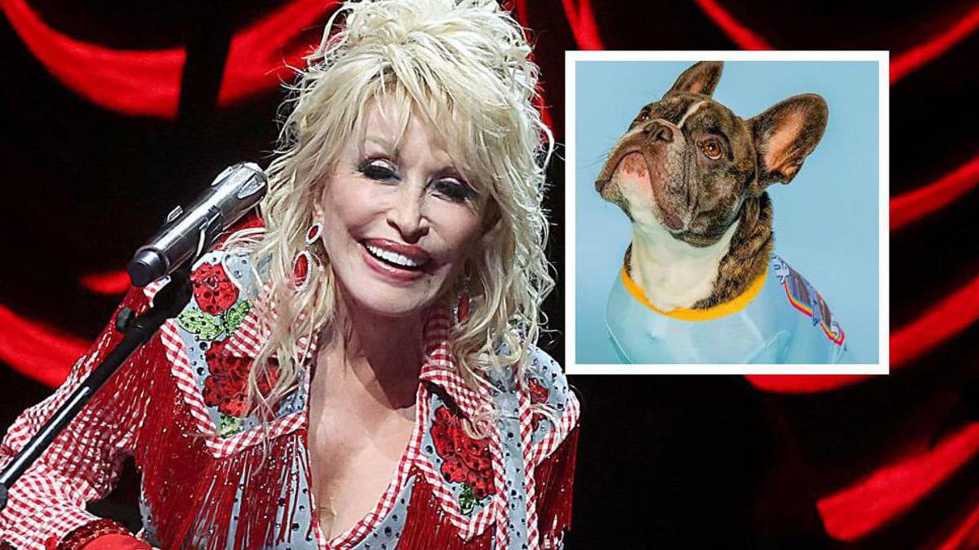 Dolly Parton launches pet collection for a good cause: ‘Doggy Parton’