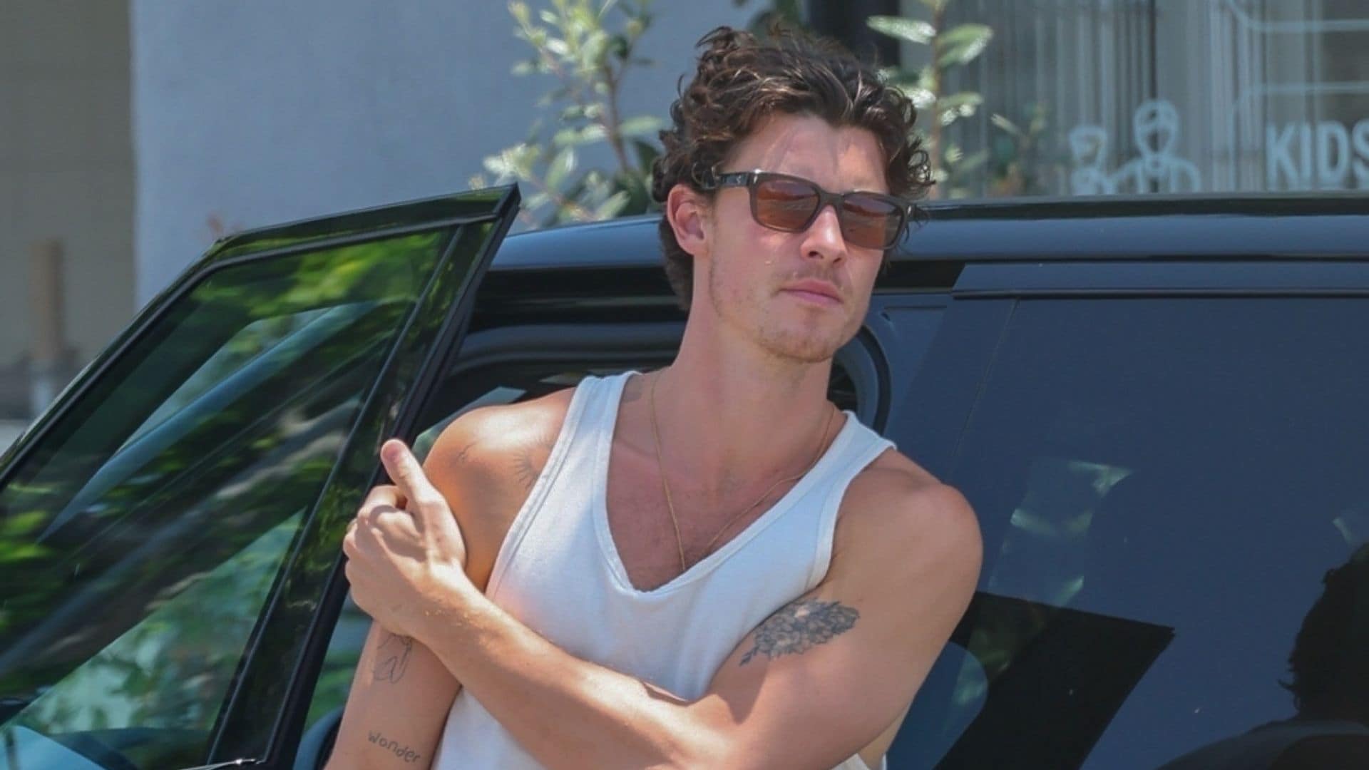 Shawn Mendes is all smiles in rare outing with his sister Aaliyah in Los Angeles
