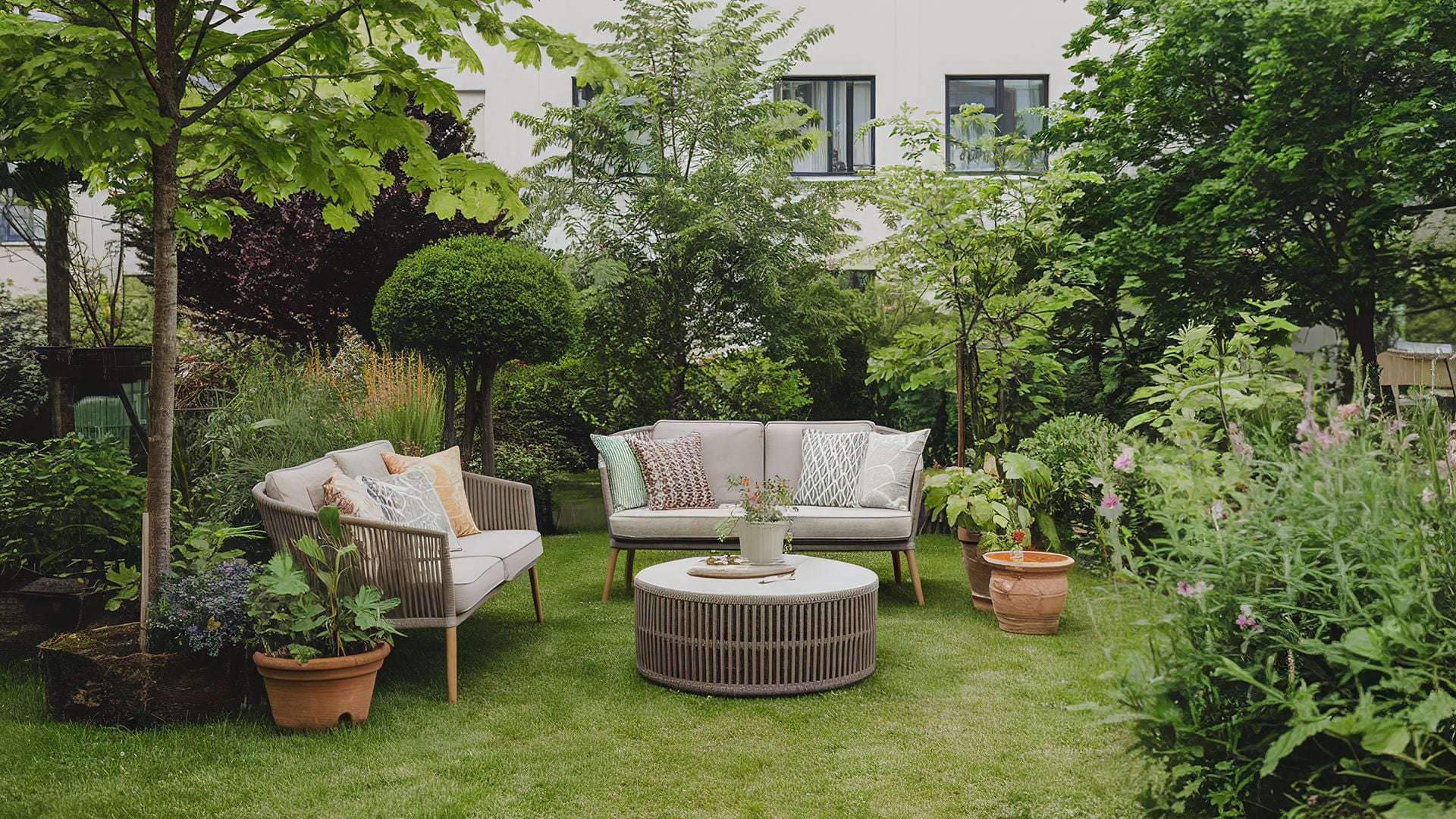 10 ideal plants for a stunning summer garden