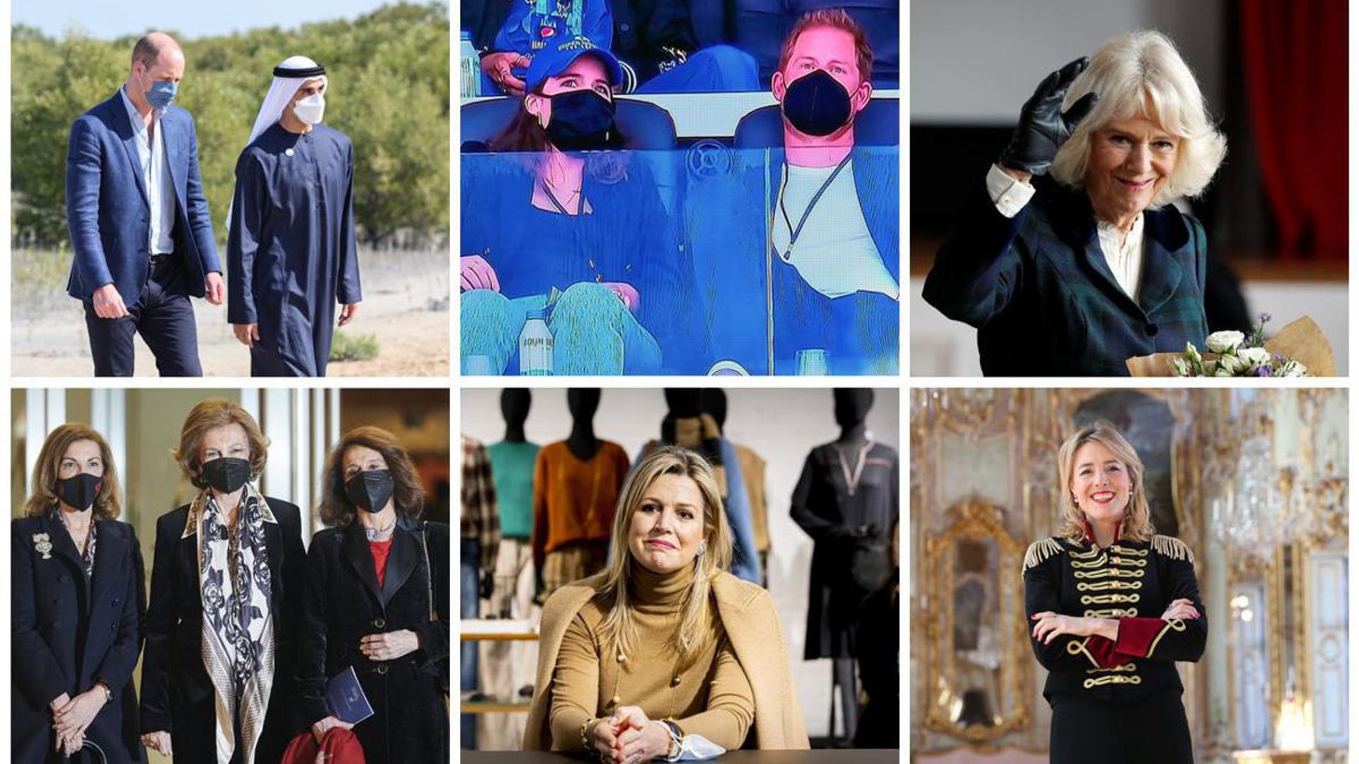 Royal Photos of the Week - February 14th