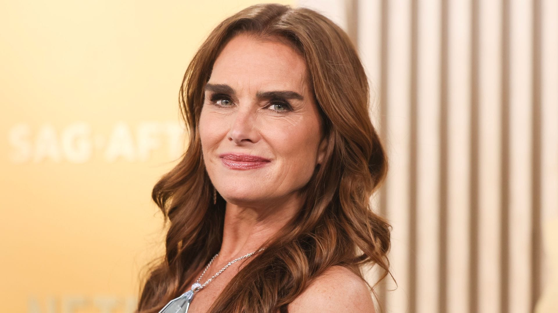 Brooke Shields stuns in a black bikini while celebrating her 60th birthday