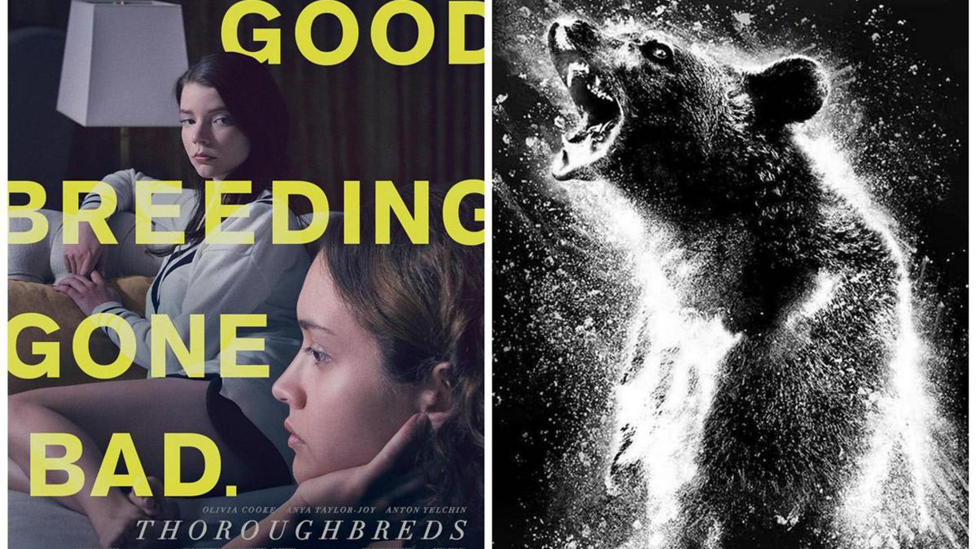 What to watch: 7 movies and shows to stream this week — August 18