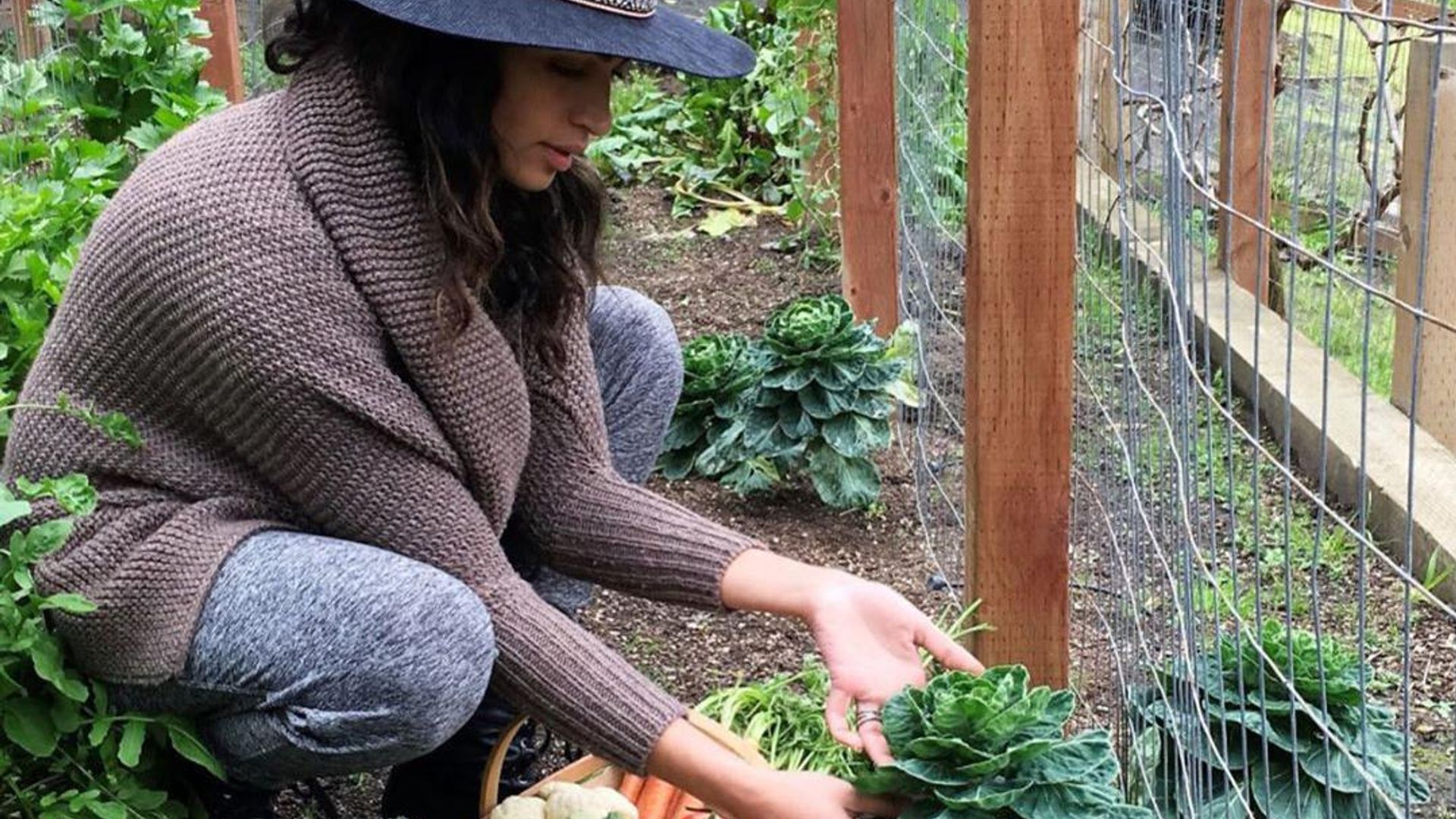 Camila Alves McConaughey reveals an easy and simple way to grow vegetable from kitchen scraps
