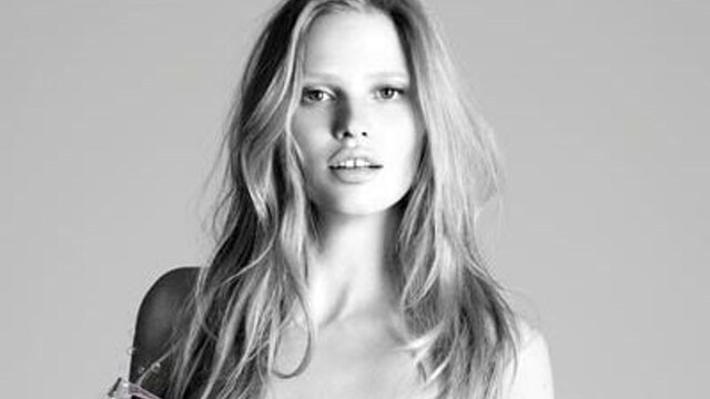 stella-1-z.jpg