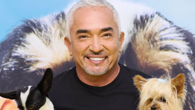 National Geographic Hosts Cesar Millan: Better Human Better Dog Premiere "Pawty" And Live Screening