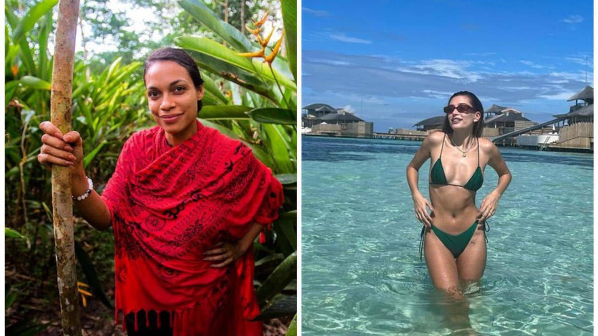 Earth Day 2022: Selena Gomez, Hailey Bieber and more celebrate the planet