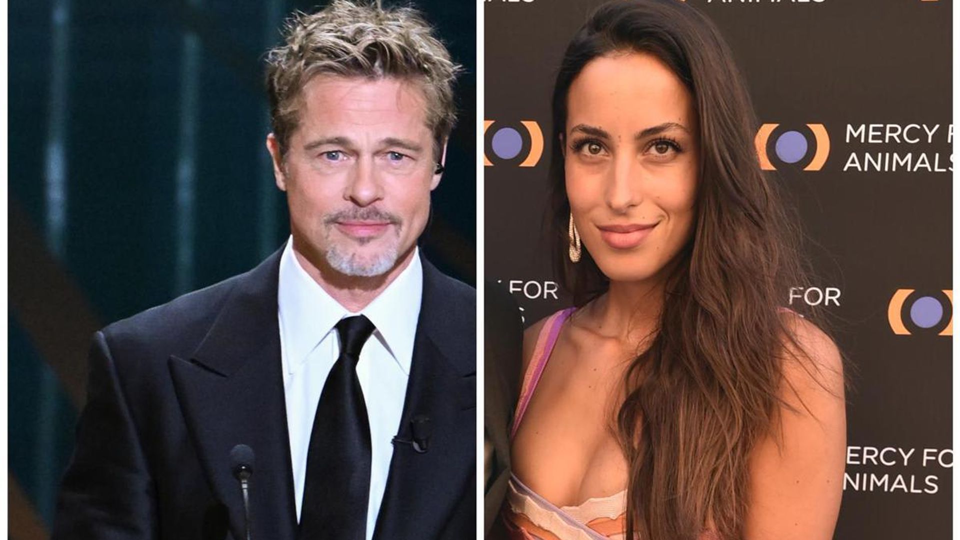 Are Brad Pitt and Ines de Ramon ready for the next step in their relationship?