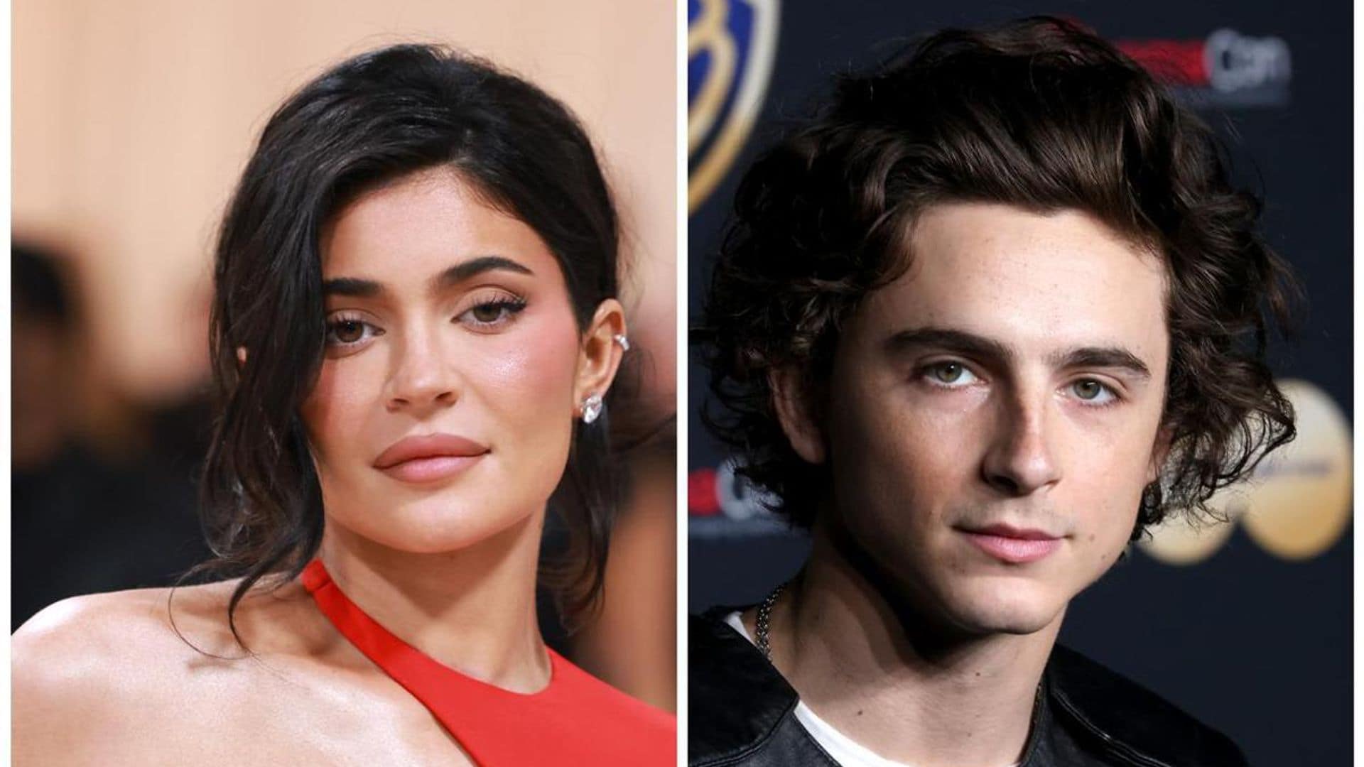 Kylie Jenner and Timothee Chalamet make couple debut at Beyonce concert