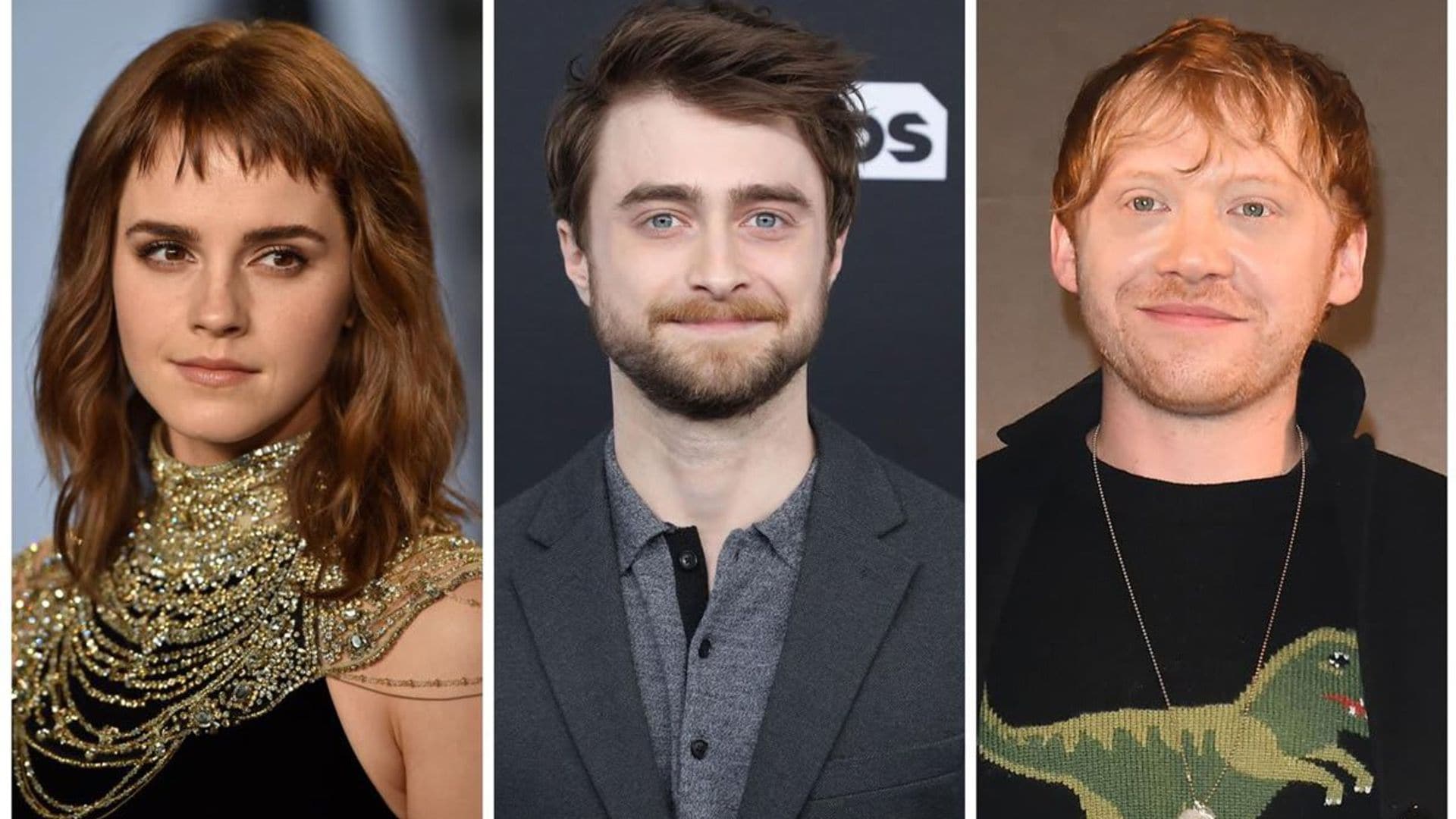 Some Harry Potter fans are upset with a possible live-action TV series