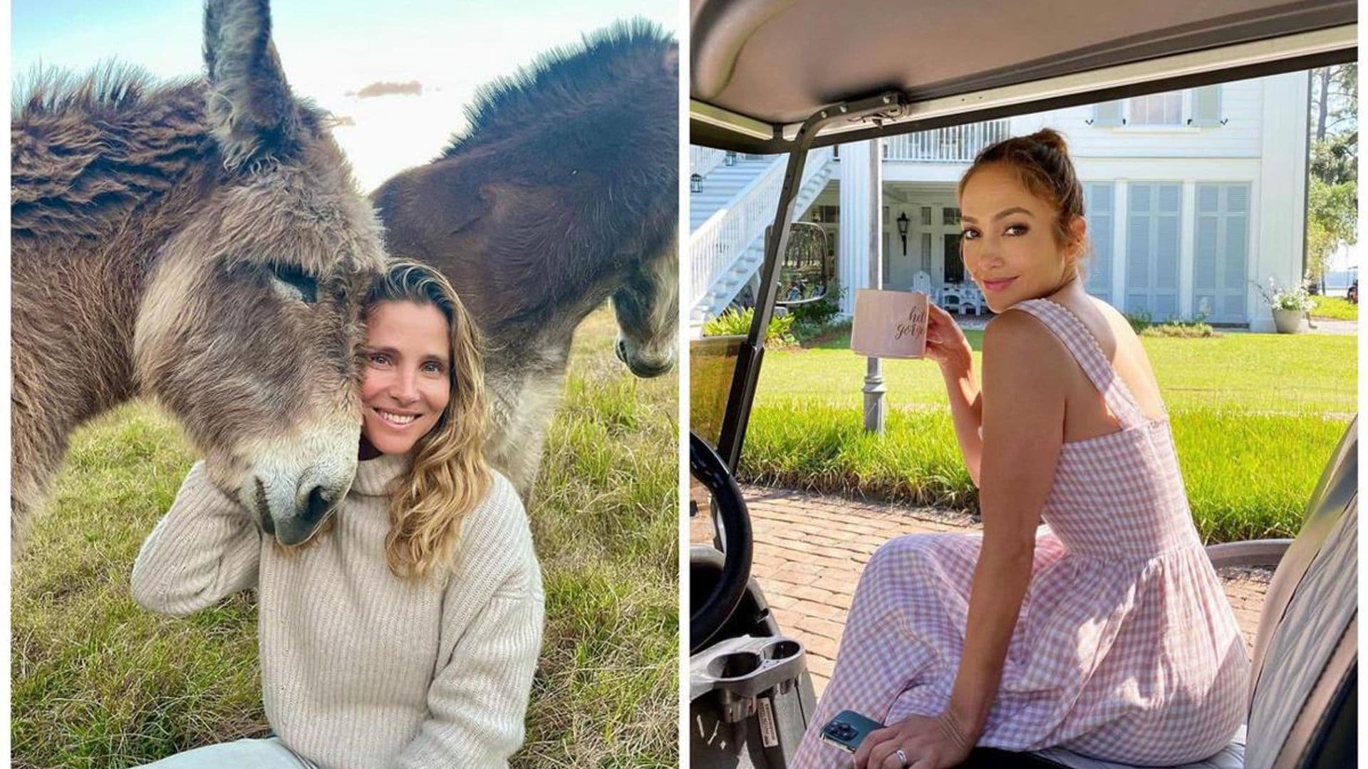 Elsa Pataky shares her love for animals & more estrellas we love