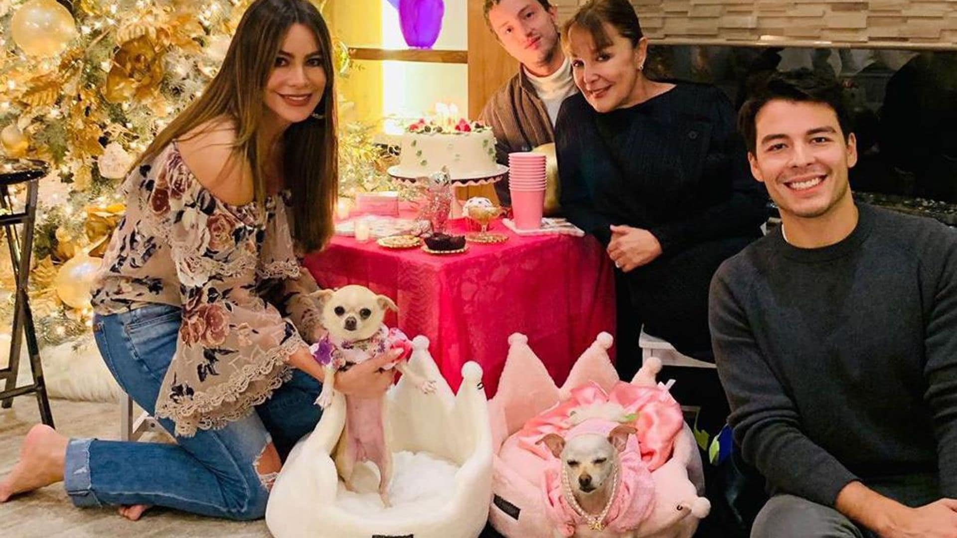 Sofia Vergara throws epic sixth birthday party for dog Baguette - see the video