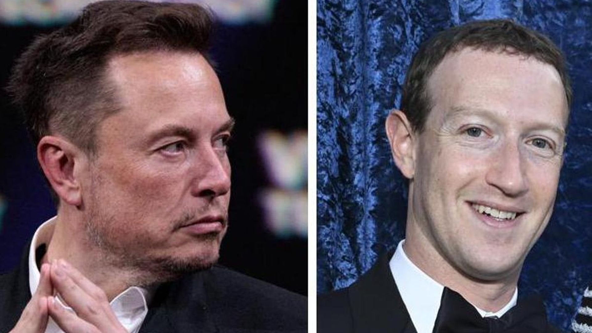 Who would win if Elon Musk and Mark Zuckerberg fought in a cage match?