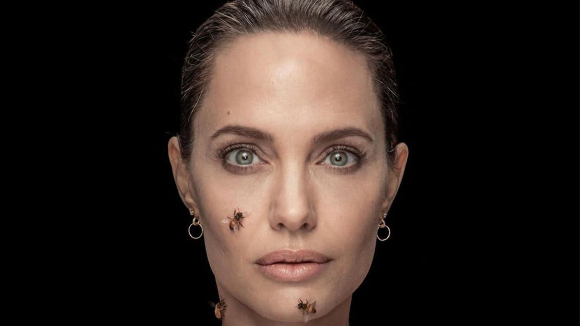 Angelina Jolie raises awareness for conservation efforts by posing while covered with bees