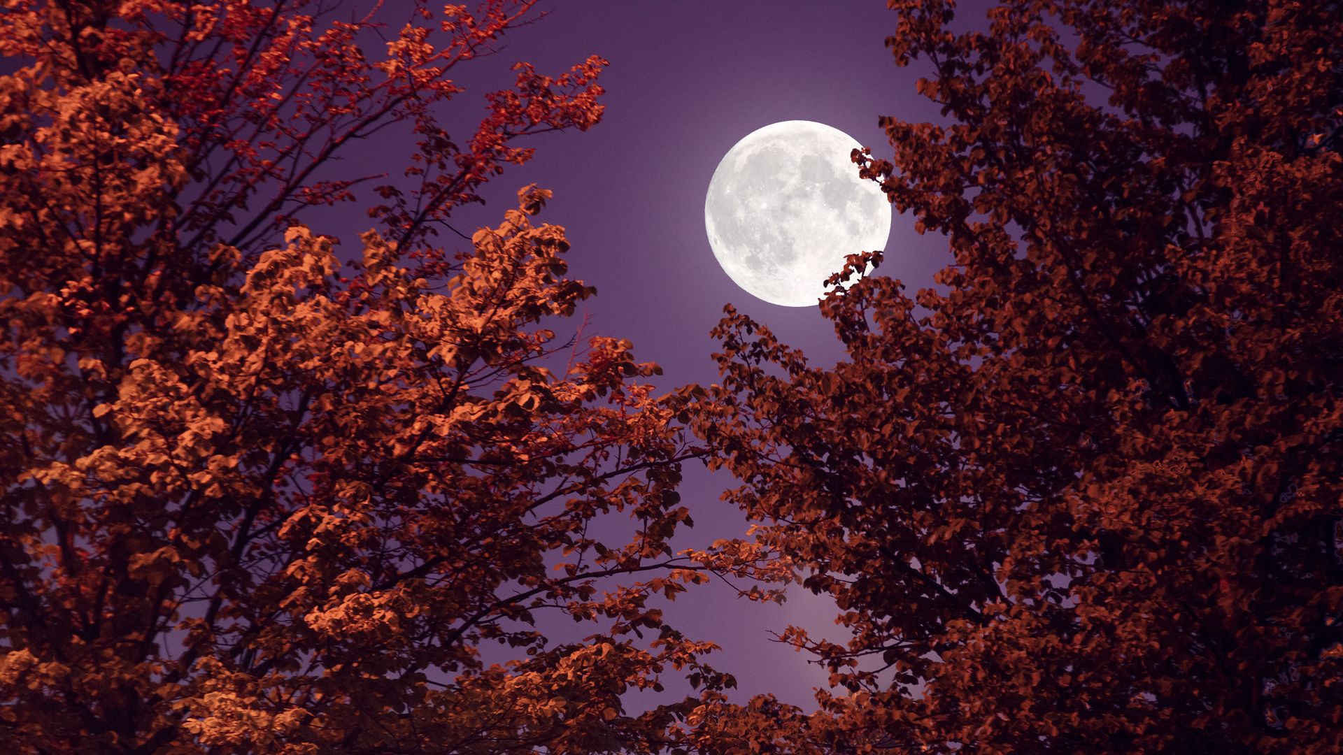 Full Corn Moon in September: Pisces Energy, Eclipse, and Rituals