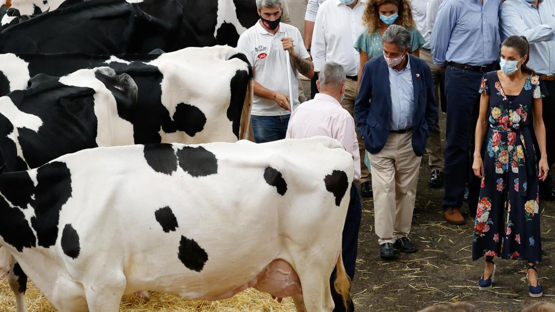 Queen Letizia gets up close with livestock wearing a chic jumpsuit