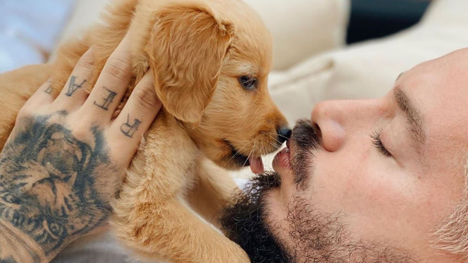 J Balvin and Mario Lopez share beyond adorable videos of their pups and we need more