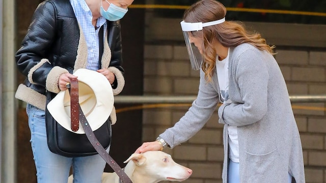 Drew Barrymore helps rescue dog in Manhattan