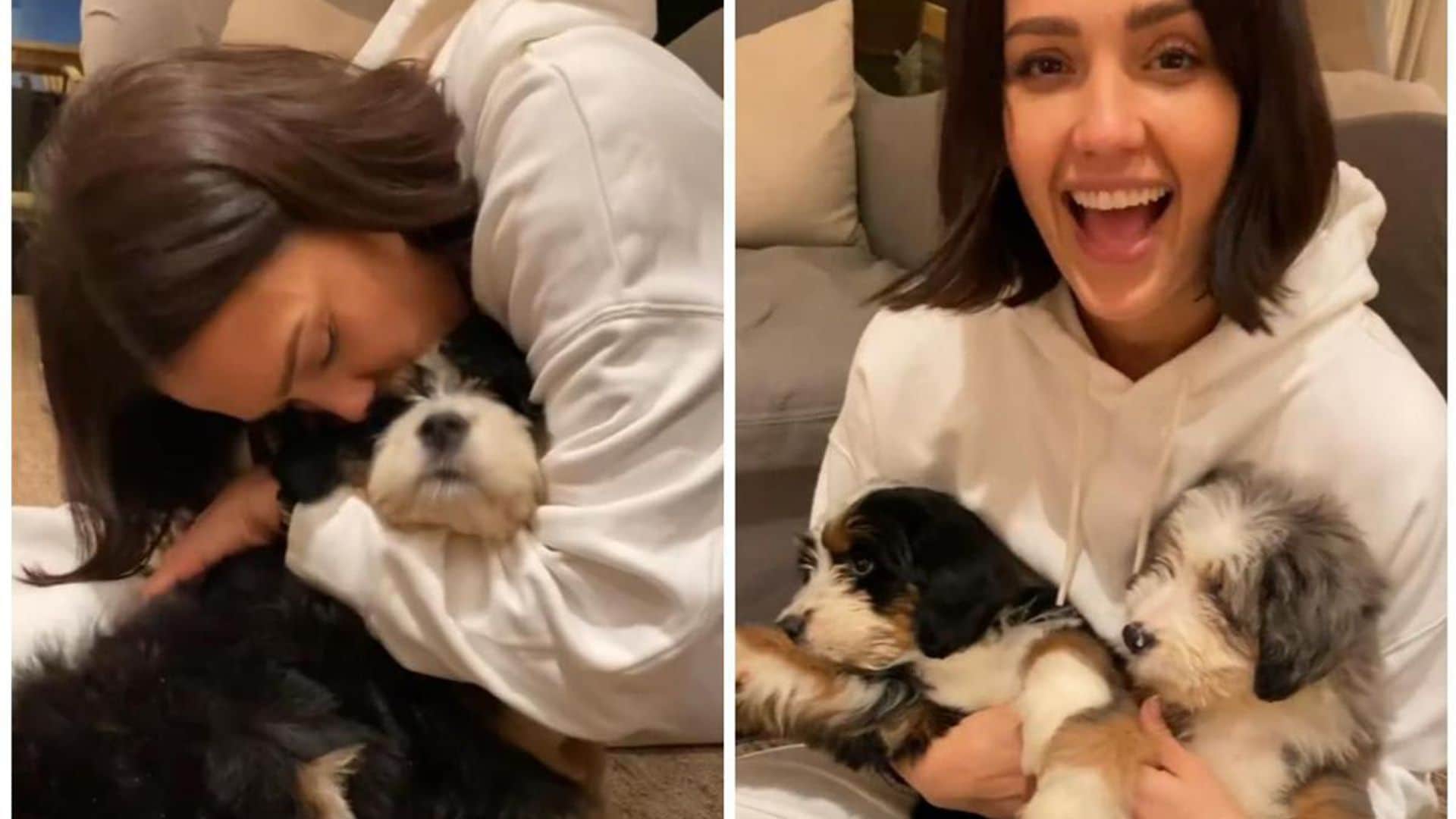 Jessica Alba shares adorable video of her kids playing with puppies