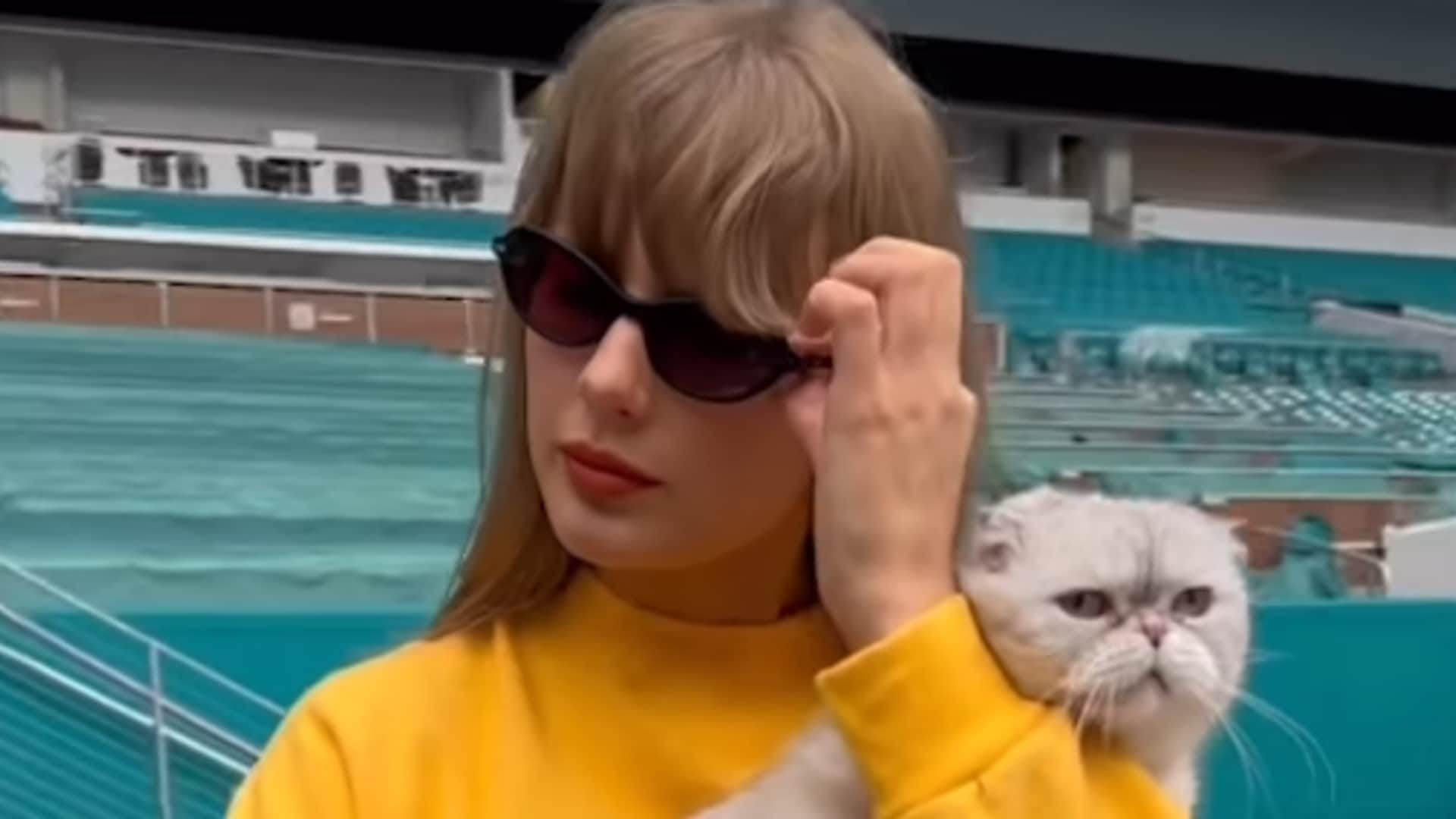 Taylor Swift and her cat Olivia Benson