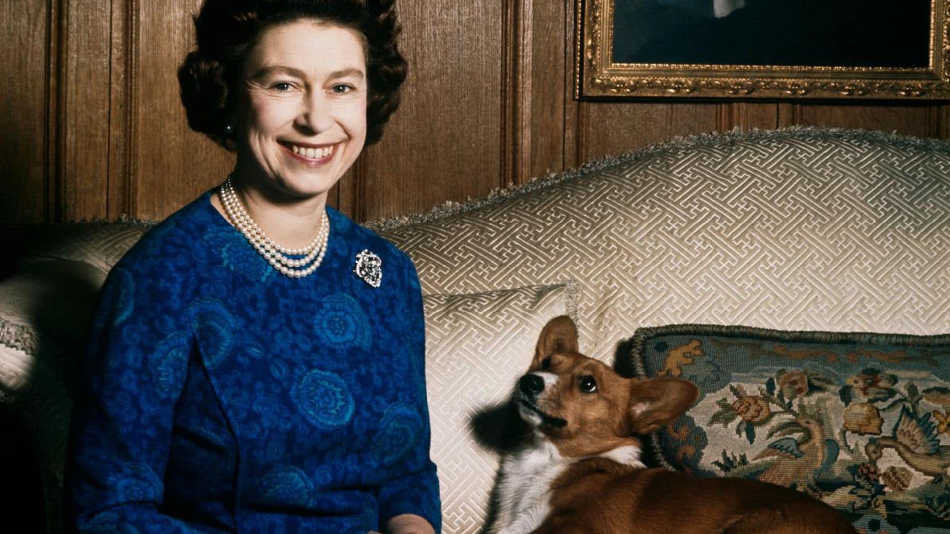 Queen Elizabeth’s love for corgis: What will happen to her adorable dogs?