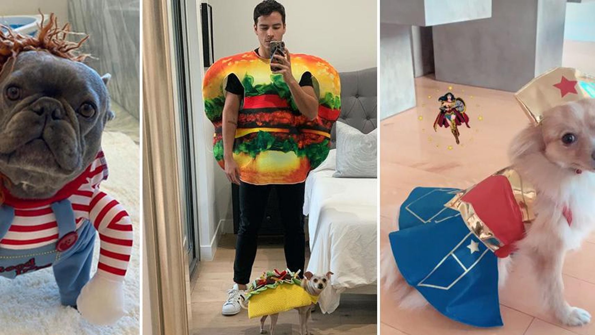 Celebrity Halloween costumes: Pet Edition