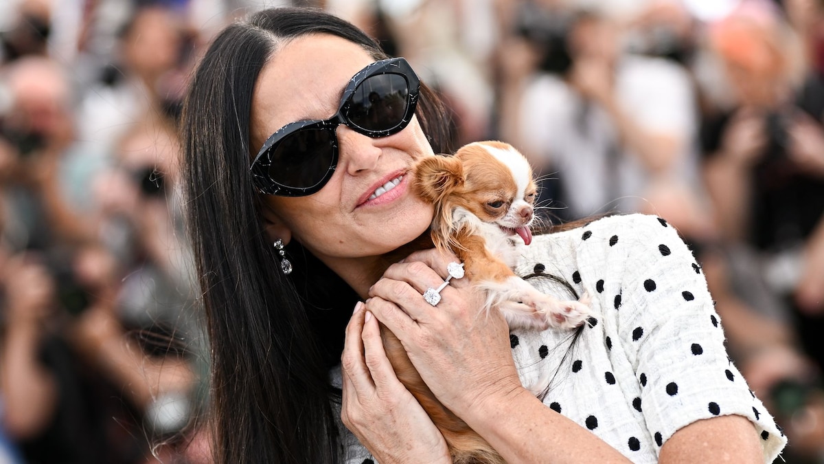 https://www.hola.com/us/horizon/landscape/fa68f43079bd-cannes-france-demi-moore-with-pilaf-the-dog-attends-the-the-substance-photocall-.jpg?im=Resize=(1200)