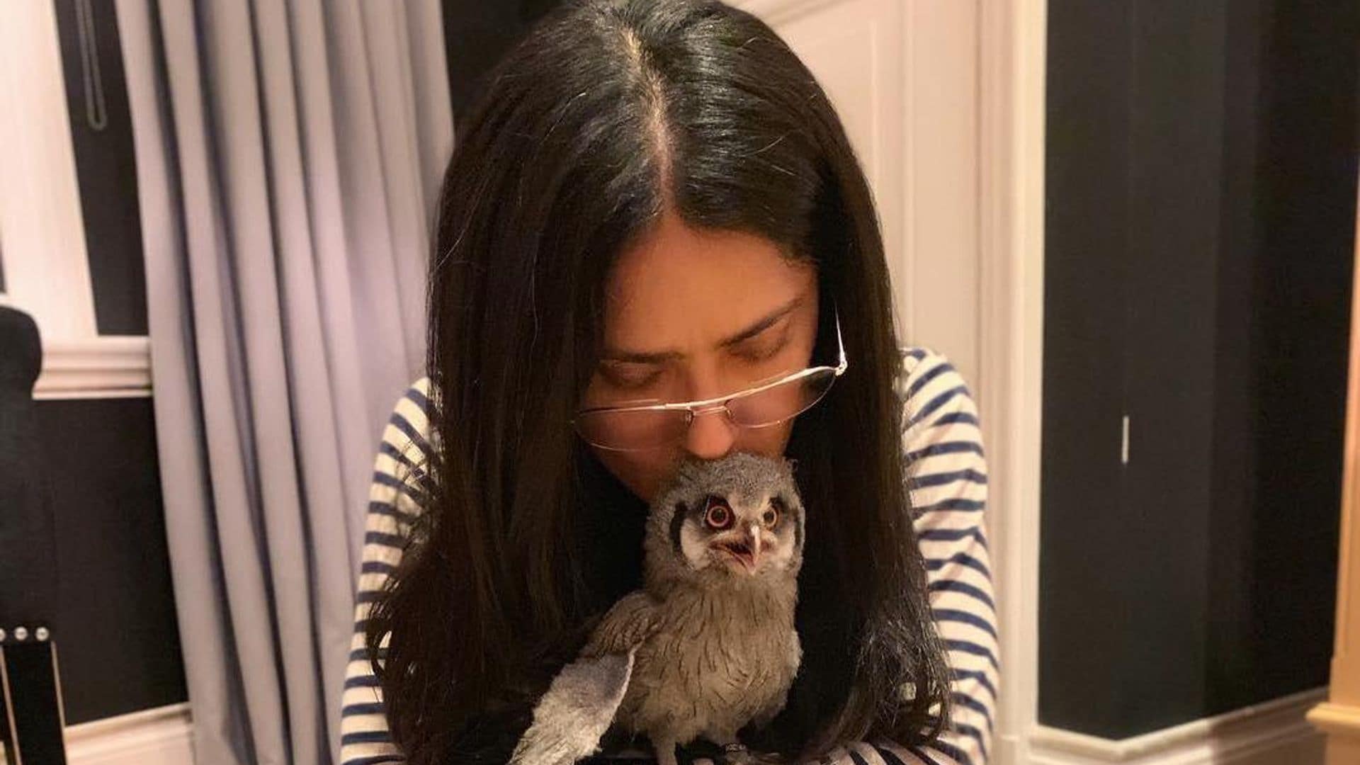 Salma Hayek's new hairdresser is an owl and a total hoot