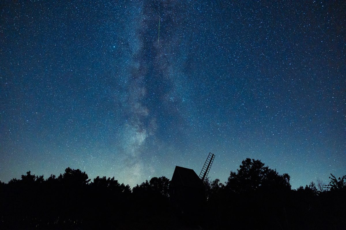 Spectacular view of the Perseid Meteor Shower and Milky Way illuminating the night sky over Westhavelland Nature Park, a certified Dark Sky Reserve in Brandenburg, Germany. Captured in August, this photograph showcases shooting stars streaking across a pristine, star-filled sky above one of Europe's largest wetland regions. 