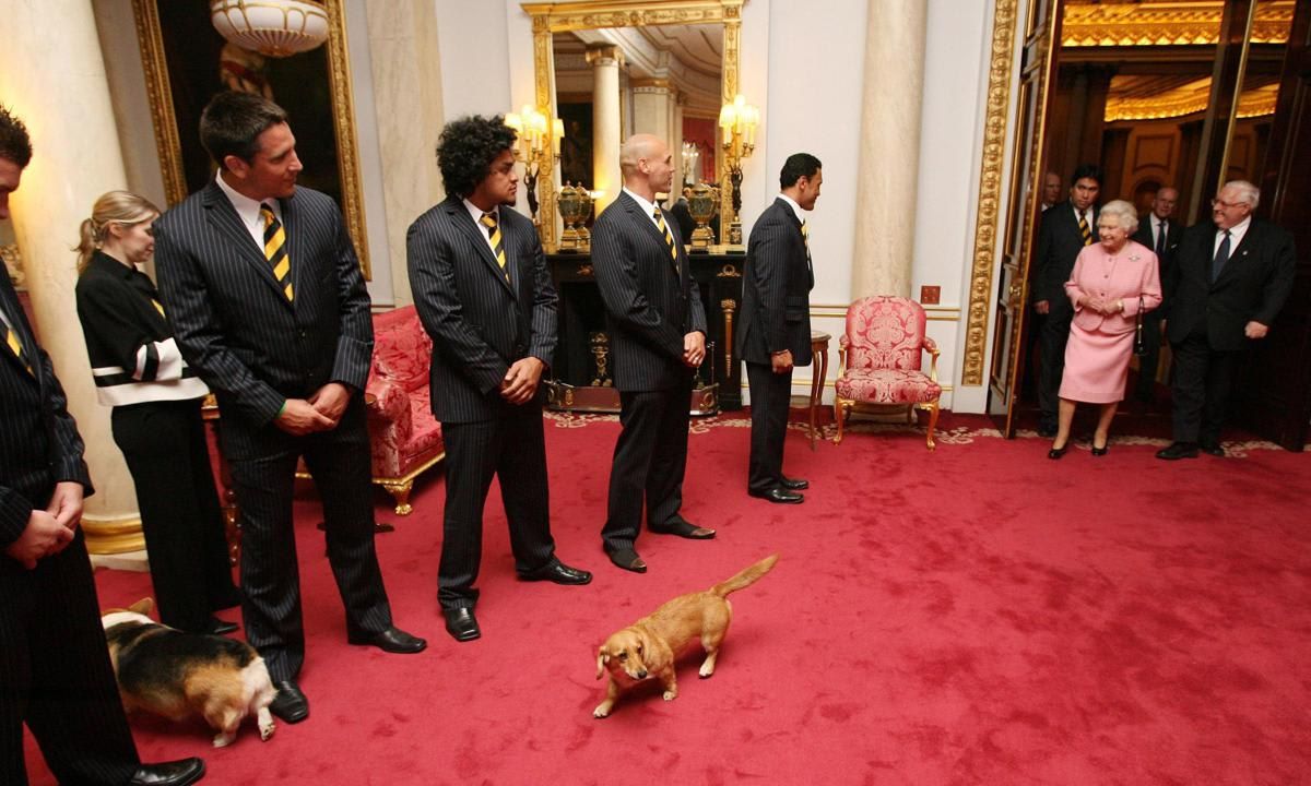 Queen Elizabeth only has one dorgi left