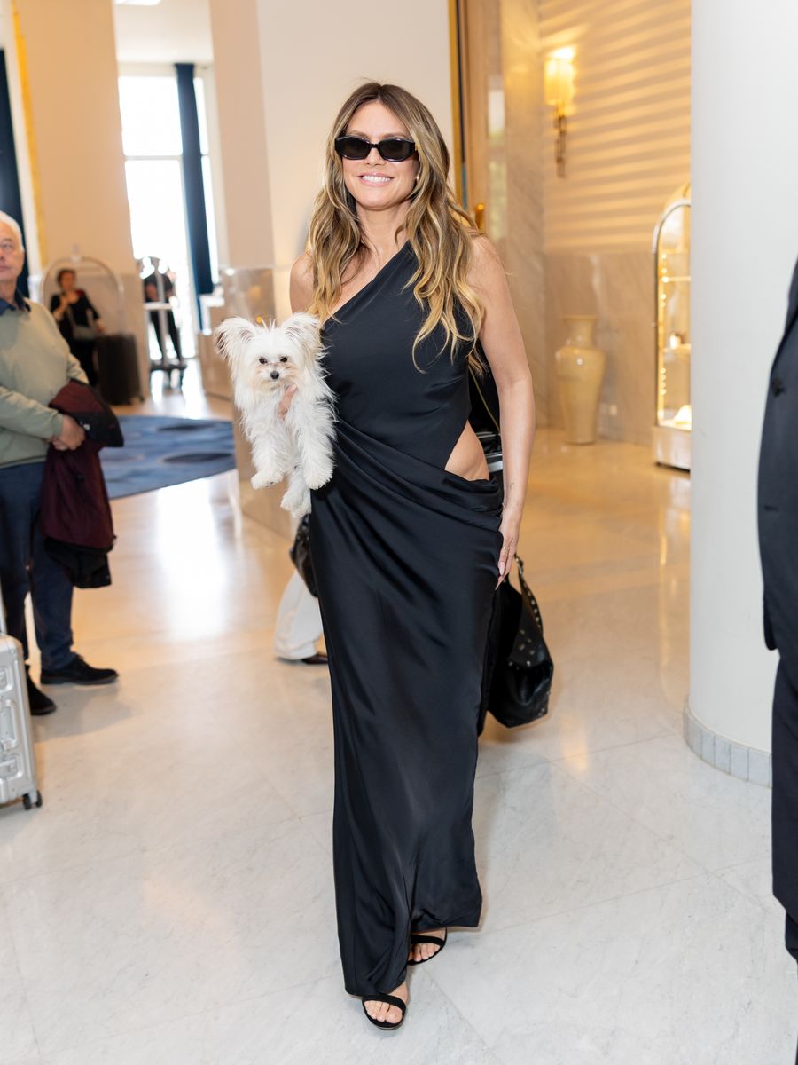 Heidi introduced the dog in April
