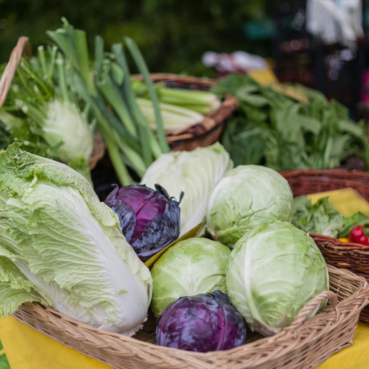 best veggies for diabetics