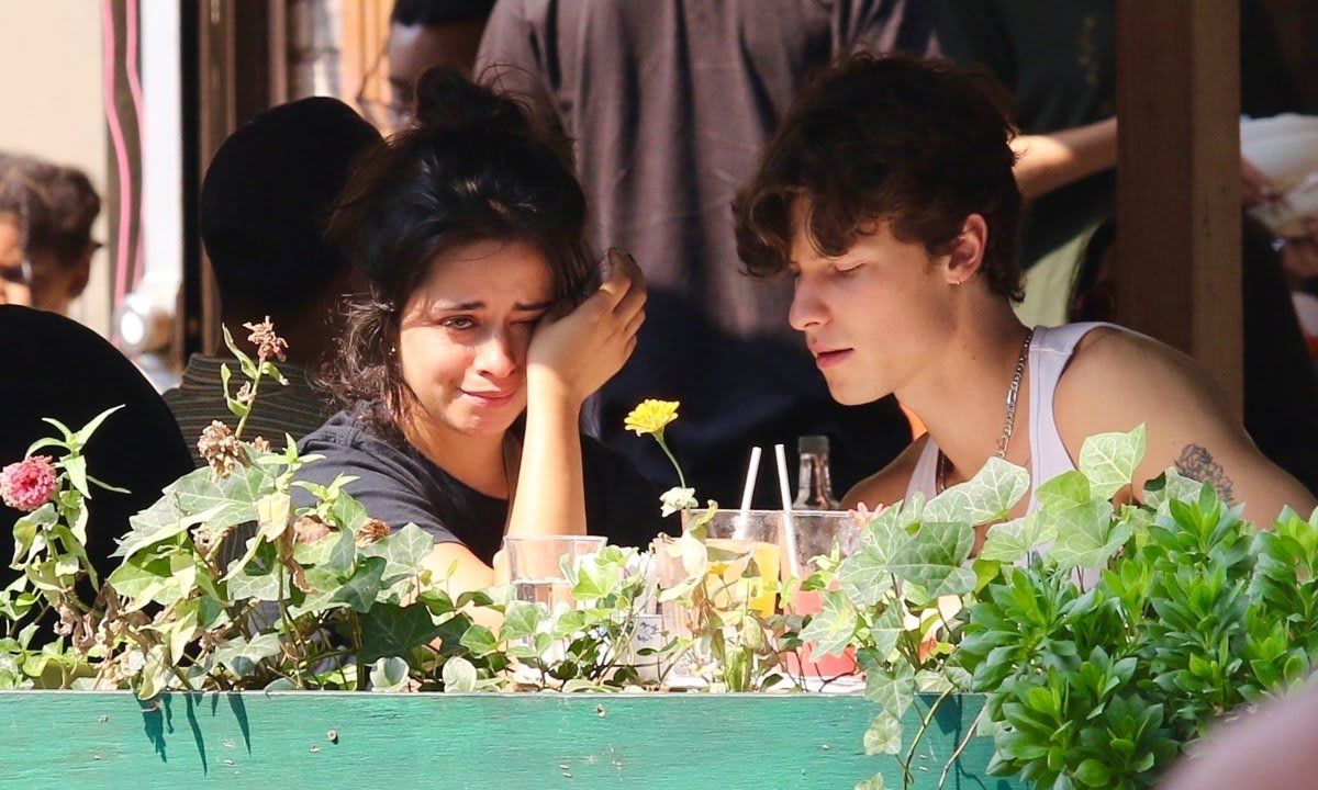Camila Cabello and Shawn Mendes have broken up