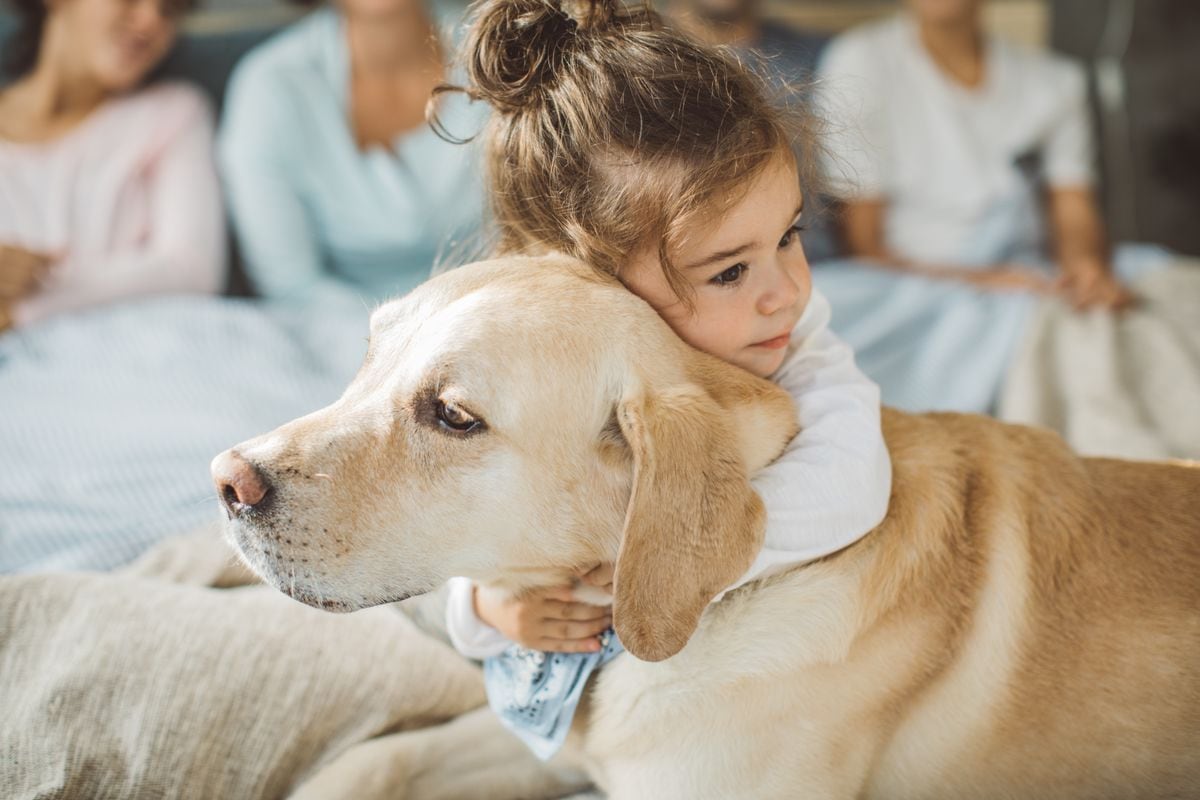 Little boy hugging his dog friend on bed in the morning