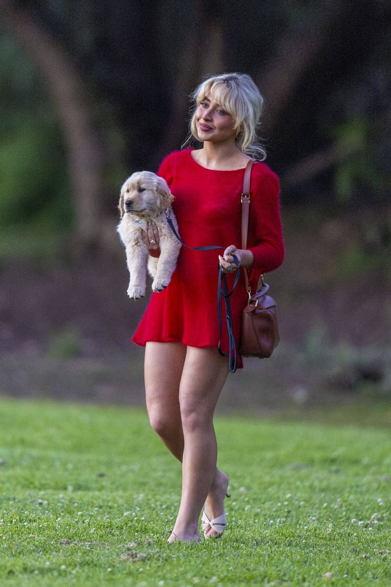  Sabrina Carpenter steps out in red minidress to play with her new puppy in LA