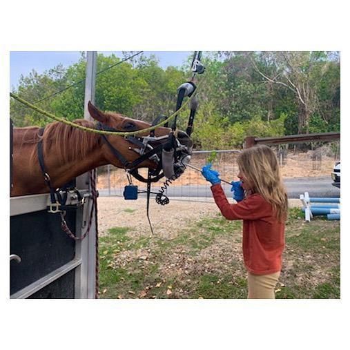 Elsa Pataky and Chris Hemsworth daughter