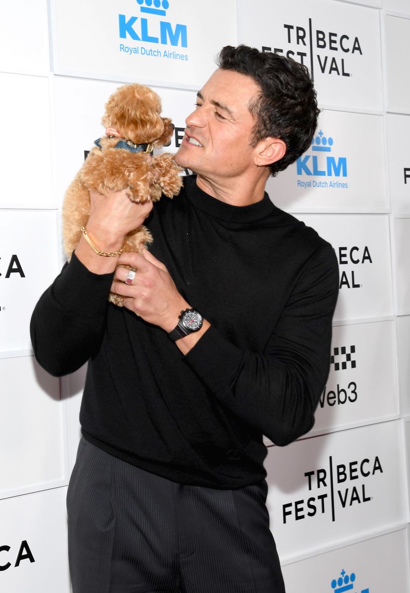 Orlando Bloom And His Dog Steal The Show While Katy And Daisy Play orlando-bloom-and-his-dog-steal-the-show-while-katy-and-daisy-play