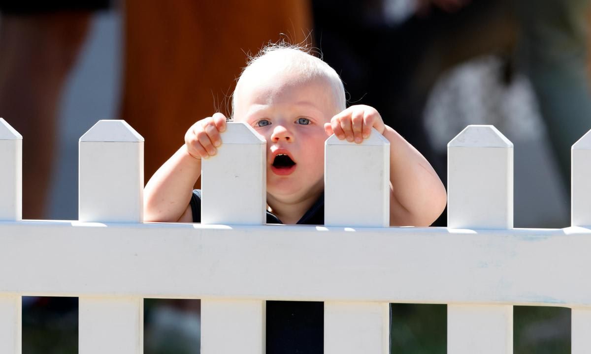 Lucas peered over a fence at the 2022 Festival of British Eventing.