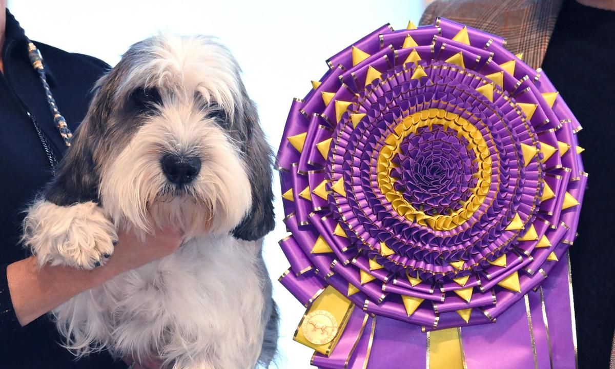 US ANIMAL DOG WESTMINSTER WINNER