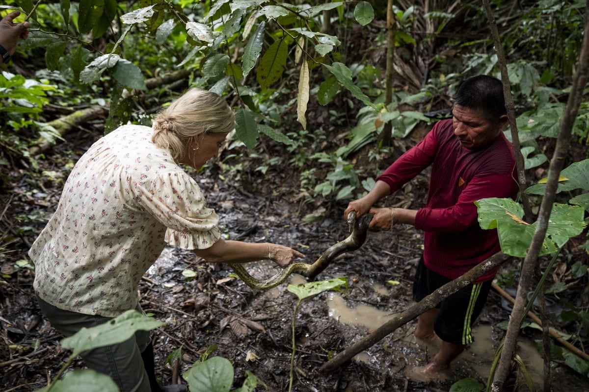During her Peruvian visit, the Duchess of Edinburgh immersed herself in a truly wild day, packed with activities that showcased her dedication.