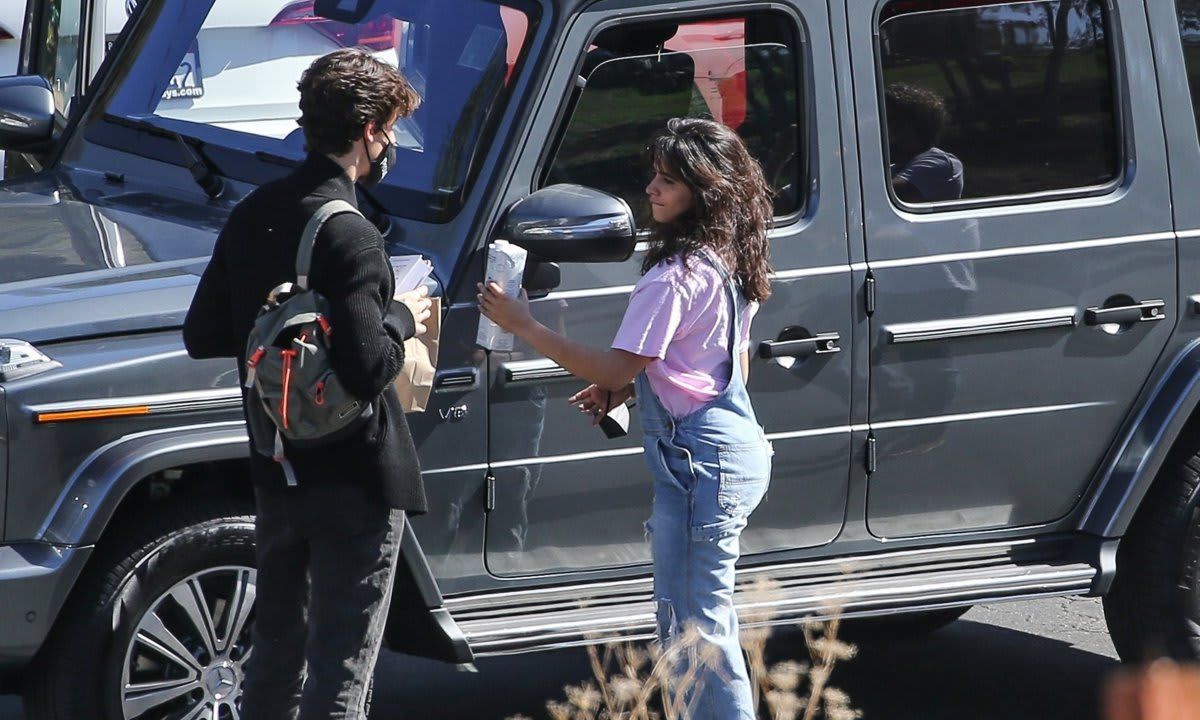 Shawn Mendes and Camila Cabello