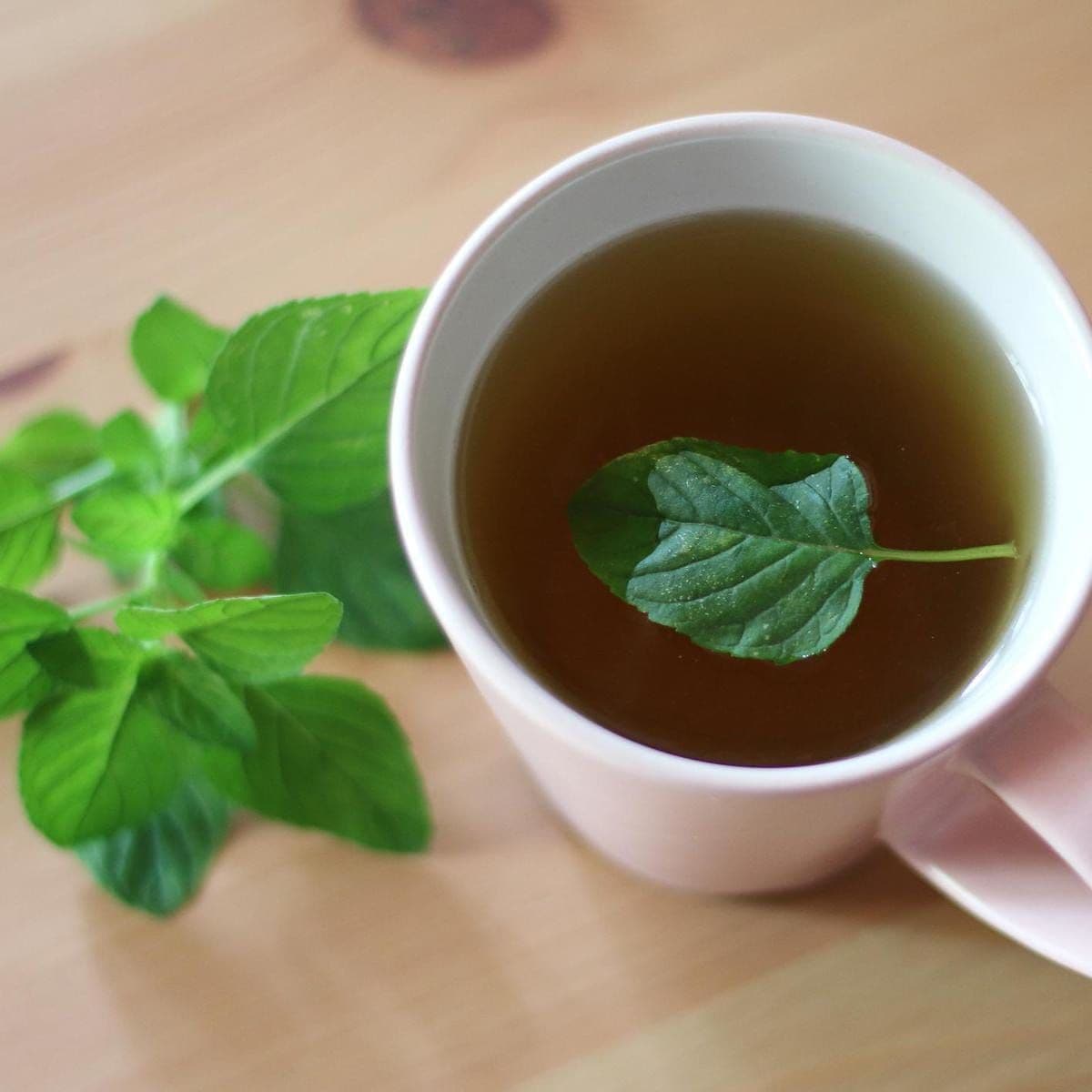 Cup of mint tea